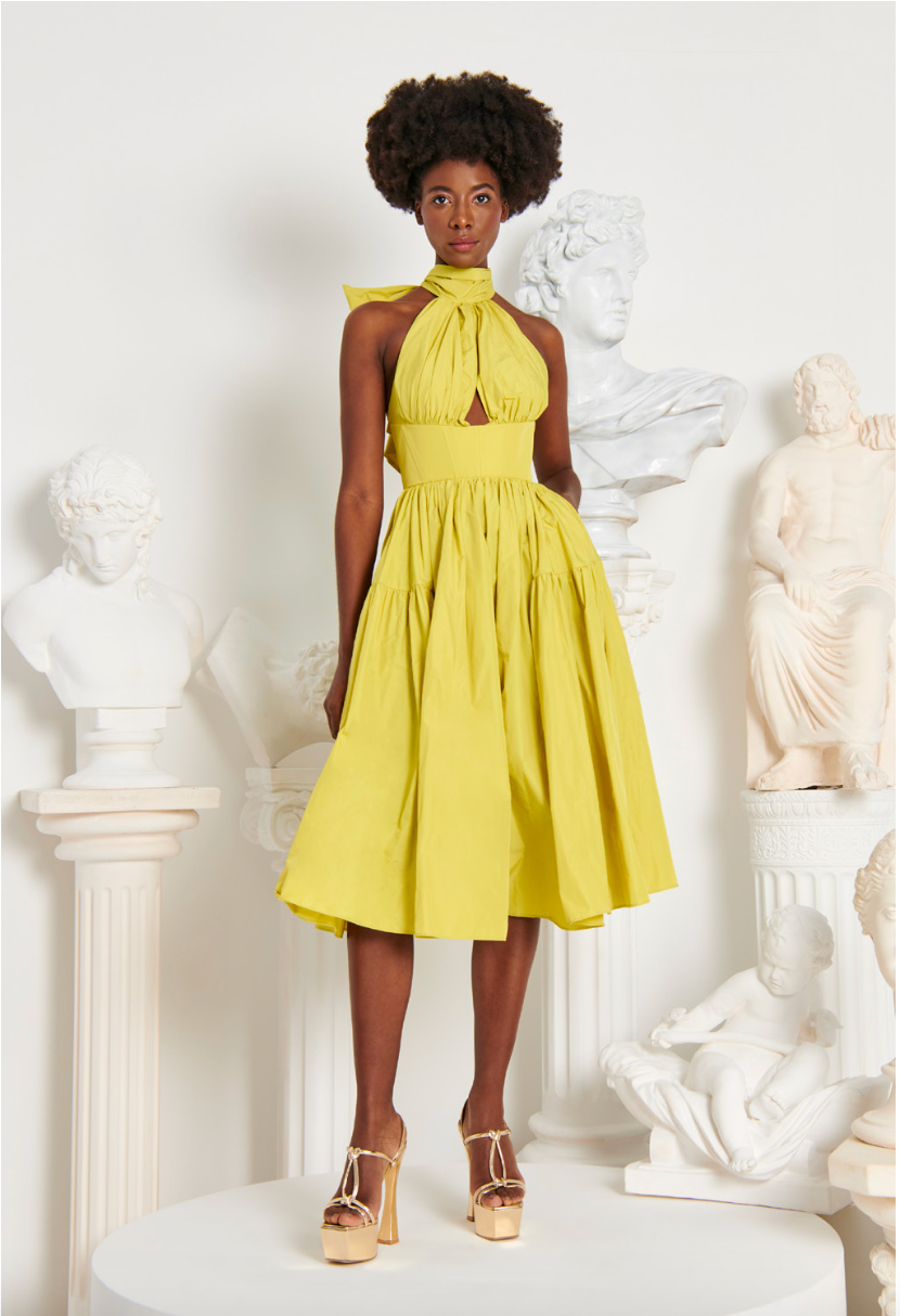 silk taffeta dress Norah Boutique | Union Station, DC