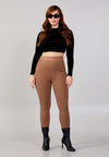 Regular Fit Plus Size Brown Pants